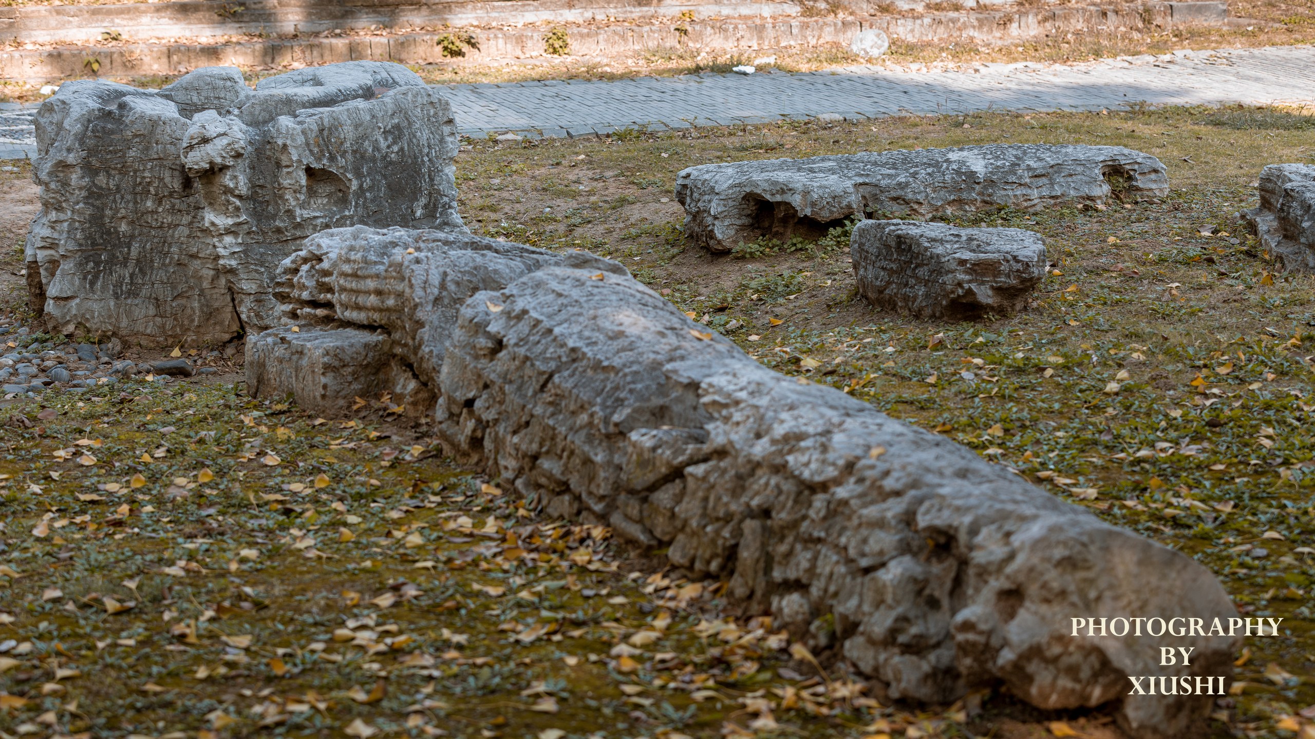 蕭偉墓 / Tomb of Xiao Wei